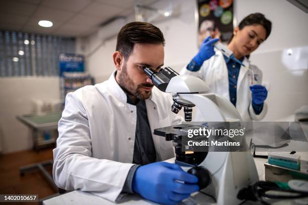 hombre veterinario examen muestra a través de microscopio - animal testing fotografías e imágenes de stock