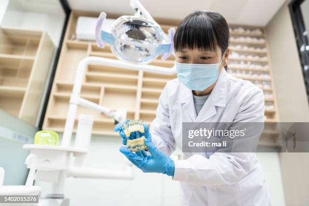 una dentista muestra un molde dental a un paciente. - molde dental fotografías e imágenes de stock