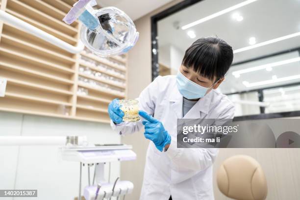a professional female dentist shows a dental mold to a patient. - dental mould stock pictures, royalty-free photos & images