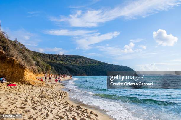 cala violina in the maremma - tuscany - grosseto province stock pictures, royalty-free photos & images