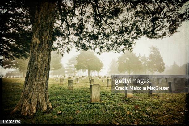 foggy morning in civil war cemetery - murfreesboro tennessee stock pictures, royalty-free photos & images