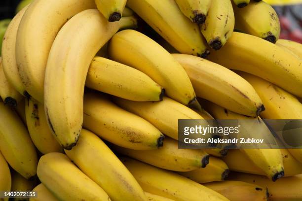ripe yellow bananas at the shopping market. fruits that are good for health. the concept of vegetarianism, veganism and raw food. vegetarian, vegan and raw food and diet. food background, bright color. retail sale of seasonal products. - banane stock-fotos und bilder