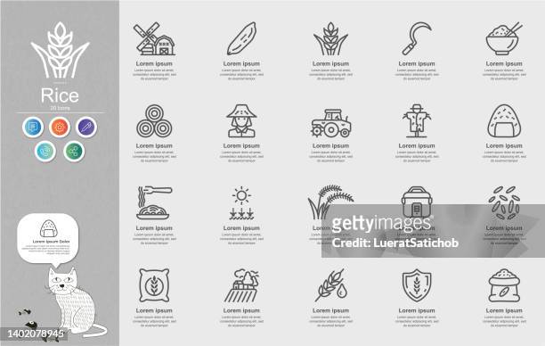 rice line icons content infographic - thailand us farm trade health stock illustrations