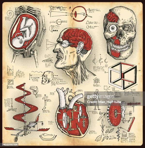 ilustraciones, imágenes clip art, dibujos animados e iconos de stock de dibujos antiguos en estilo leonardo da vinci - leonardo da vinci
