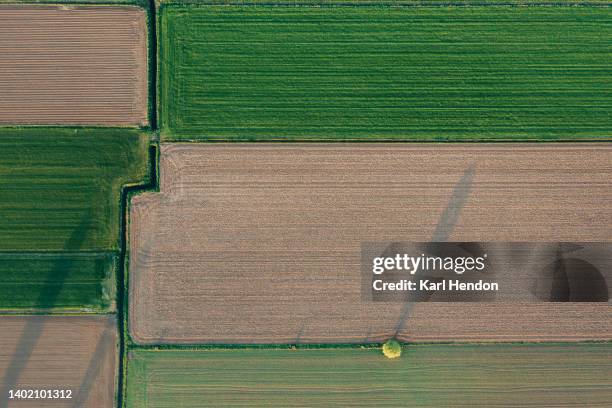 an aerial view of colourful fields at sunrise - antwerp city belgium stock pictures, royalty-free photos & images