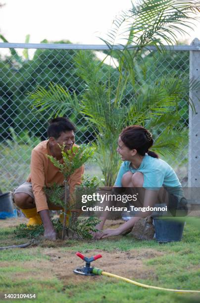 padre e hija plantando árboles - sembrar fotografías e imágenes de stock