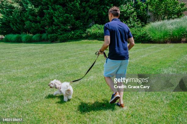 man runs with his dog in grass - white shorts stock-fotos und bilder