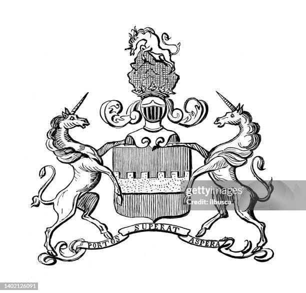 antike illustration: wappenemblem, navarreins - coat of arms stock-grafiken, -clipart, -cartoons und -symbole