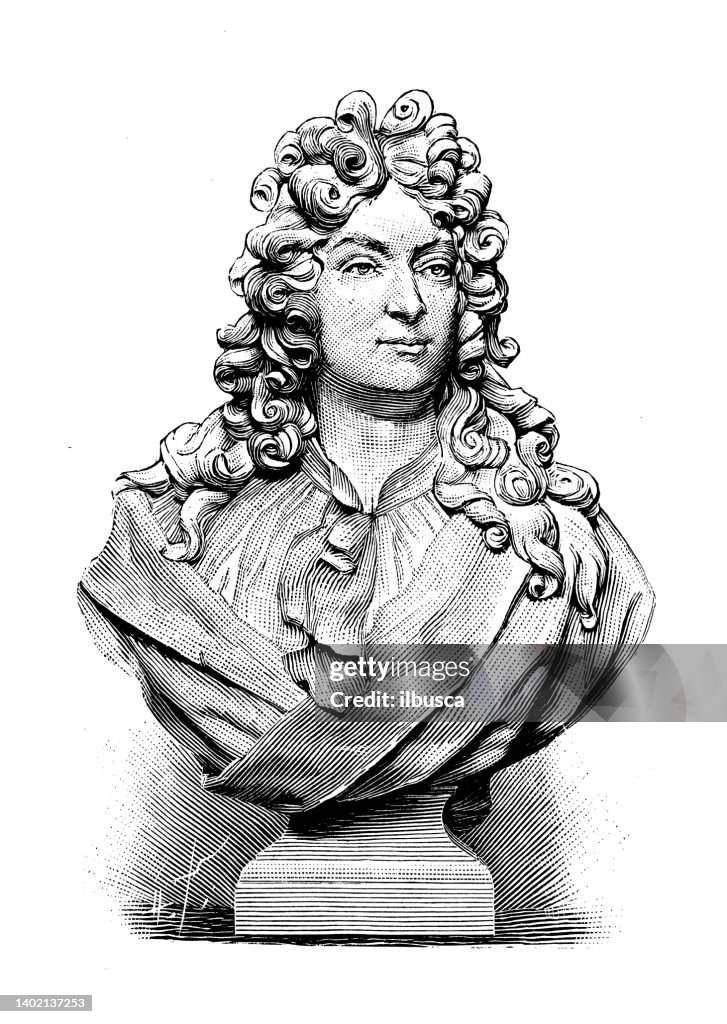 Antique illustration: Root