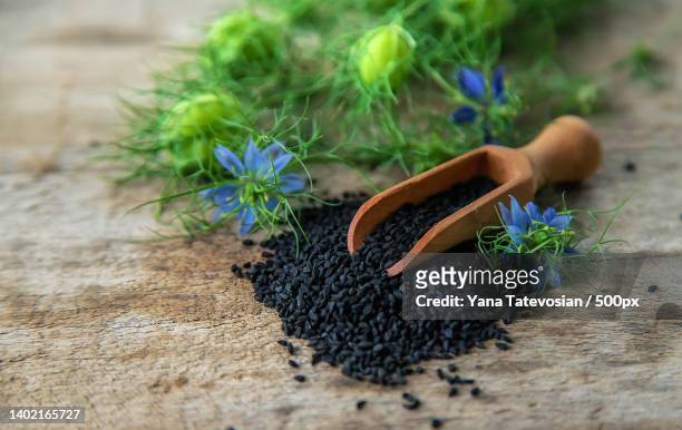 black cumin seeds and flowers selective focus - black seed oil - fotografias e filmes do acervo