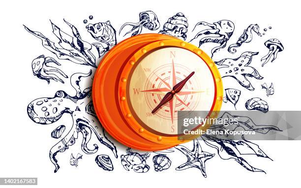 Compass Chartoons 15 Compass Rose Cartoon Stock Photos, High-Res Pictures, and Images ...