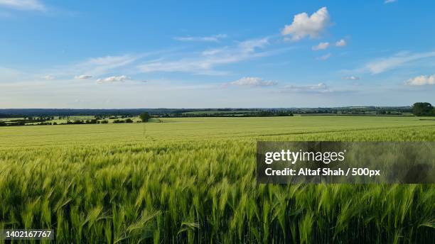 scenic view of agricultural field against sky,hitchin,united kingdom,uk - hitchin photos et images de collection