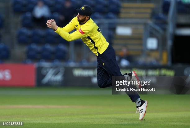 Chris Cooke of Glamorgan Cricket is caught out by James Vince of Hampshire Hawks during the Vitality T20 Blast match between Glamorgan and Hampshire...