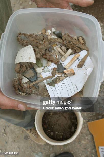 Smashed Plastic Food Containers Photos and Premium High Res Pictures ...