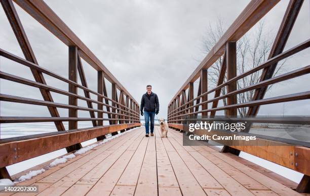 man walking fluffy dog across a bridge on overcast winter day. - soft coated wheaten terrier bildbanksfoton och bilder