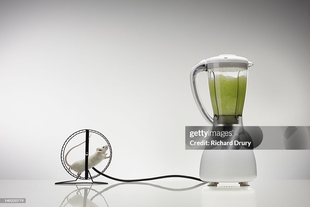 Mouse running on wheel powering blender