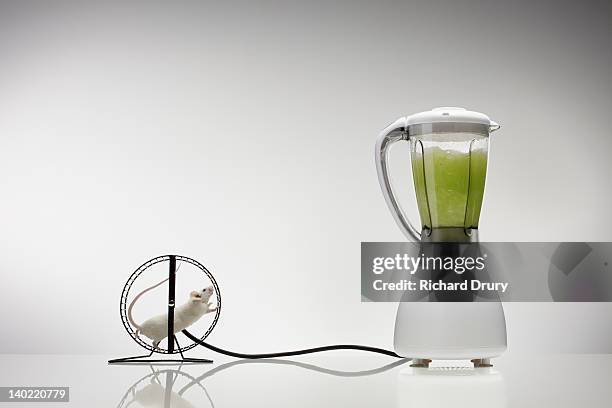 mouse running on wheel powering blender - hamster wheel stock pictures, royalty-free photos & images