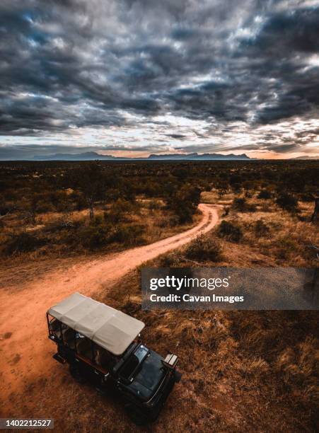 safari vehicle in the south africa bush, kruger national park - safari park stockfoto's en -beelden