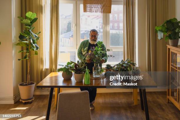 man doing gardening with potted plants on table at home - old hipster stock-fotos und bilder