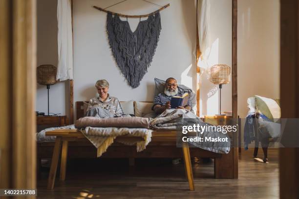 senior couple reading book sitting on bed at home - panô - fotografias e filmes do acervo