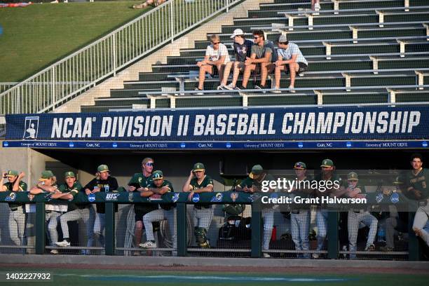 Point Loma Nazarene University Sea Lions players watch their team bat against the North Greenville University Crusaders during the Division II Men’s...