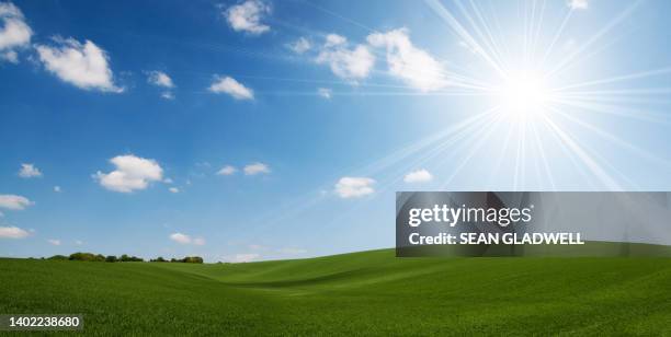 green hills sun - field blue sky fotografías e imágenes de stock