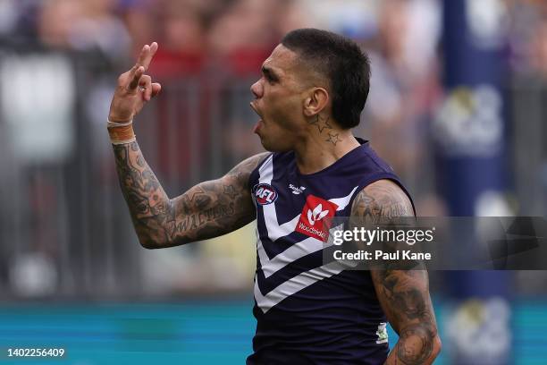 Michael Walters of the Dockers celebrates his 300th goal during the round 13 AFL match between the Fremantle Dockers and the Hawthorn Hawks at Optus...