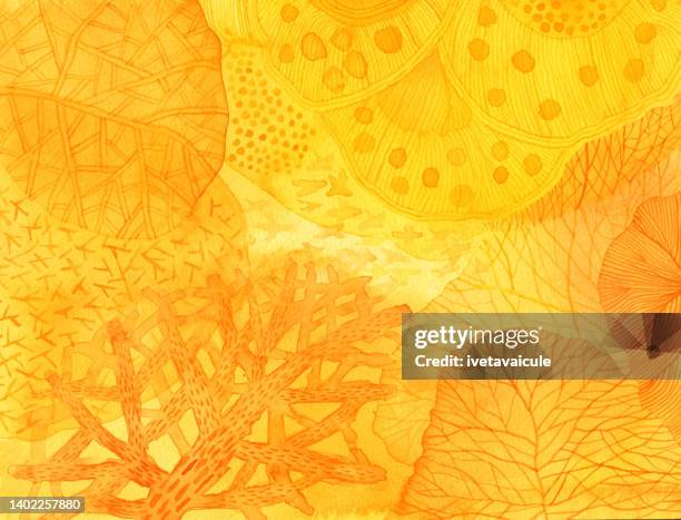 looking up through the trees - the tree of life stock illustrations