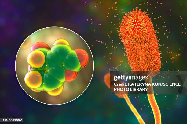 illustrations, cliparts, dessins animés et icônes de aspergillus clavatus mould fungi and molecule of patulin toxin, illustration - aspergillose