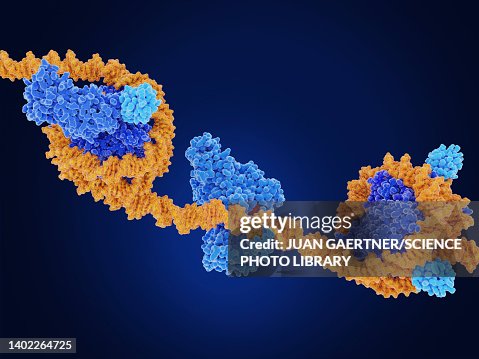 Epigenetic modifications, molecular model Epigenetic modifications, molecular model