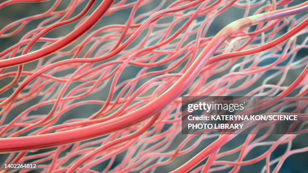 illustrazioni stock, clip art, cartoni animati e icone di tendenza di collagen triple helix molecules, illustration - collagene