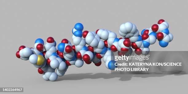 glucagon hormone molecule, illustration - glucose molecule stock illustrations