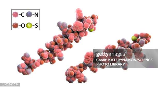 glucagon hormone molecule, illustration - insulin molecule stock illustrations