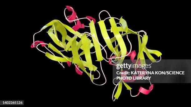 pepsin stomach enzyme molecule, illustration - protein structure stock illustrations