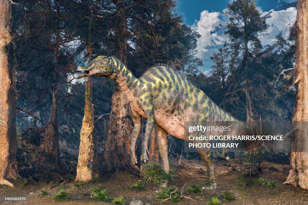 Shantungosaurus dinosaur, illustration