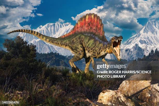 spinosaurus dinosaur, illustration - paläozoologie stock-grafiken, -clipart, -cartoons und -symbole
