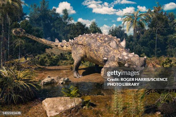 euoplocephalus dinosaur, illustration - thyreophora stock illustrations