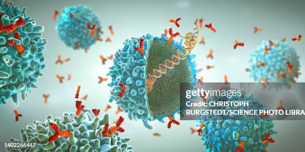 car t cell, illustration - antigen stock illustrations