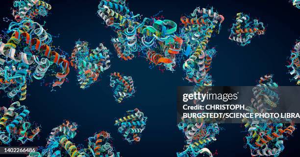 proteins, illustration - eiwit organische verbinding stockfoto's en -beelden