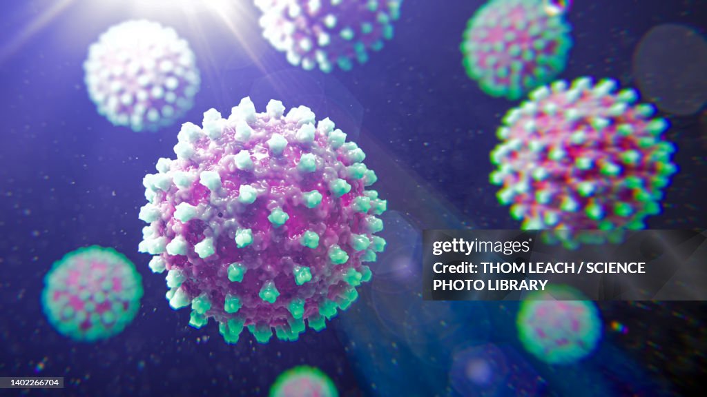 Hepatitis B virus particles, illustration