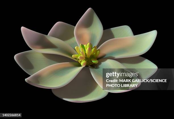 Prehistoric Flowers Photos and Premium High Res Pictures - Getty Images