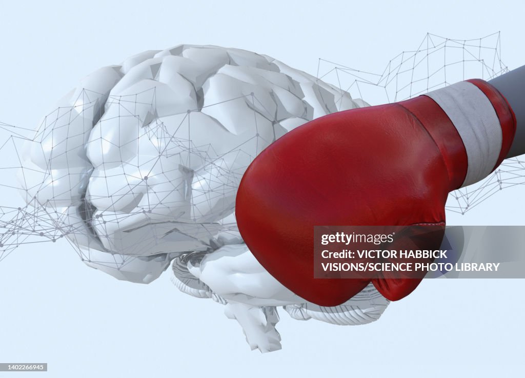 Boxing Risks Damage To The Brain Through Boxing Conceptual Illustration High-Res ...