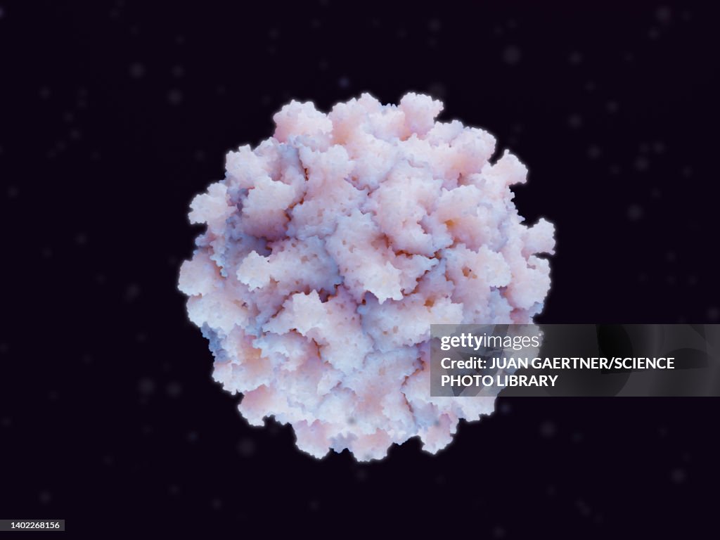 Coxsackievirus virus particle, illustration