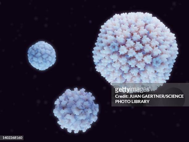 ilustrações de stock, clip art, desenhos animados e ícones de common cold viruses, illustration - adenovírus