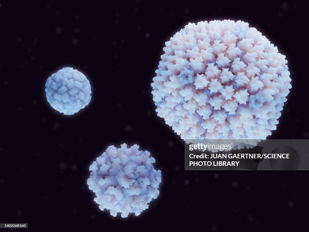 Common cold viruses, illustration