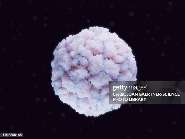 rhinovirus, illustration - cold virus stock illustrations