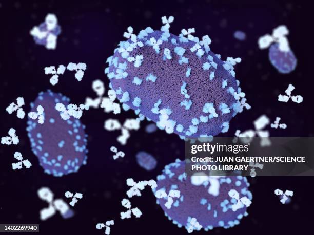 ilustrações de stock, clip art, desenhos animados e ícones de antibodies attacking monkeypox viruses, illustration - virologia