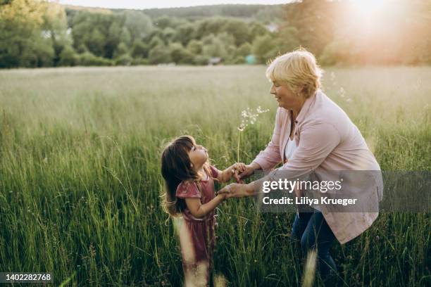 grandmother and her little granddaughter walking in the field. - 家族　元気 ストックフォトと画像