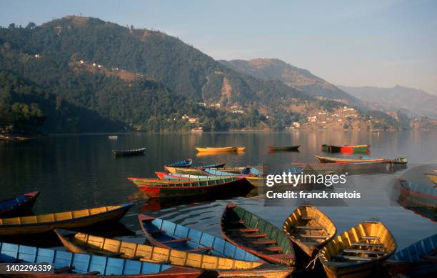 rowboats on phewa lake ( nepal) - nepal pokhara stock pictures, royalty-free photos & images