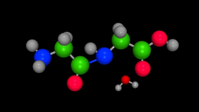 344 Amino Acid Videos and HD Footage - Getty Images 344 Amino Acid Videos and HD Footage - Getty Images